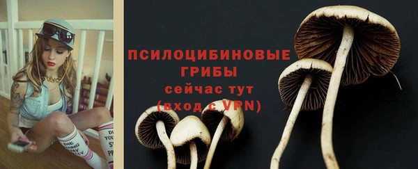 амф Армянск