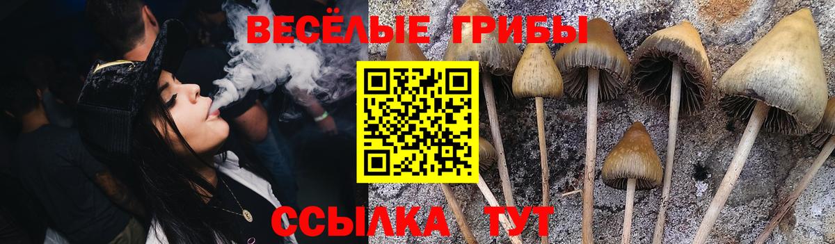 Галлюциногенные грибы Cubensis Бор